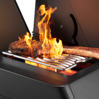 BBQ NAPOLEON PHANTOM PRESTIGE 500 RSIB - Image 7