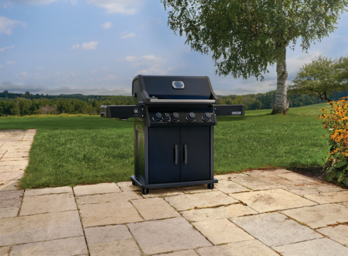BBQ NAPOLEON ROGUE PRO 525 SIB NOIR - Image 5