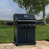 BBQ NAPOLEON ROGUE PRO 525 SIB NOIR - Image 8