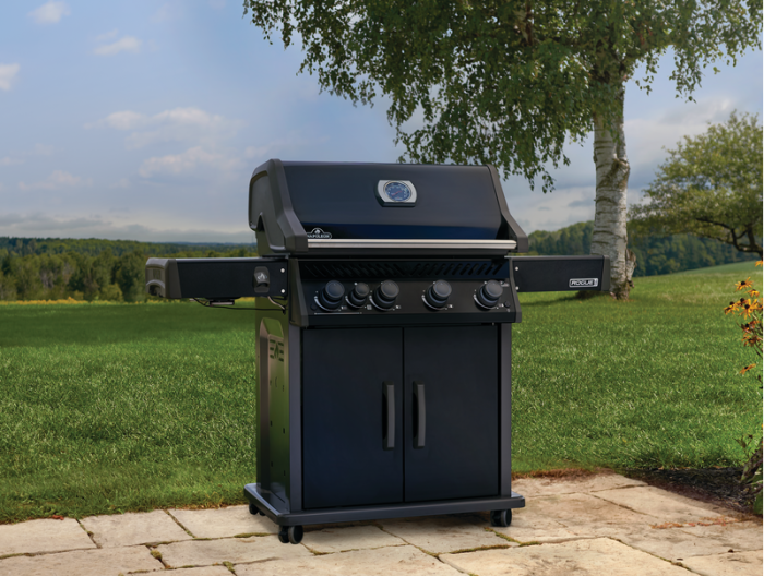 BBQ NAPOLEON ROGUE PRO 525 SIB NOIR - Image 8