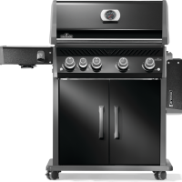 BBQ NAPOLEON ROGUE PRO 525 SIB NOIR - Image 2